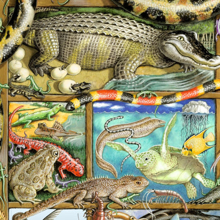 Reptiles Fish Amphibians Whimsical Wall Art by Laura Seeley - Love Family Kids Decor - 8513011-LS-2