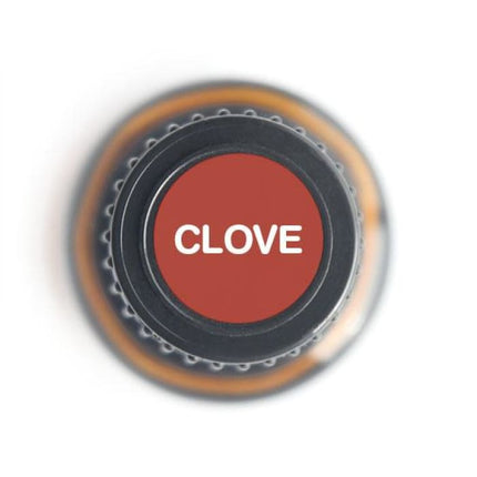 Clove Pure Essential Oil - 15ml-1