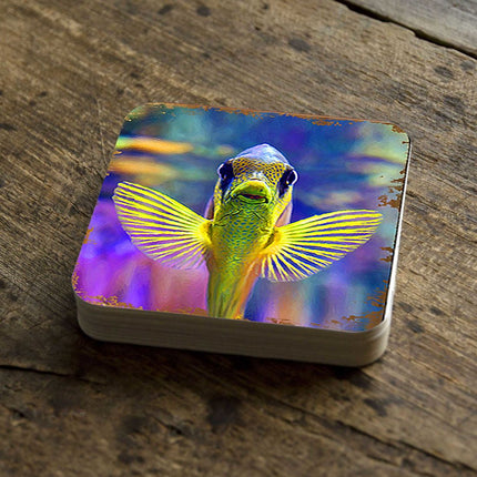 Tropical Fish Coastal Wooden Cork Coasters Gift Set of 4 by Nature Wonders - Coastal Sea-Life Decor - 95263C-S4-2