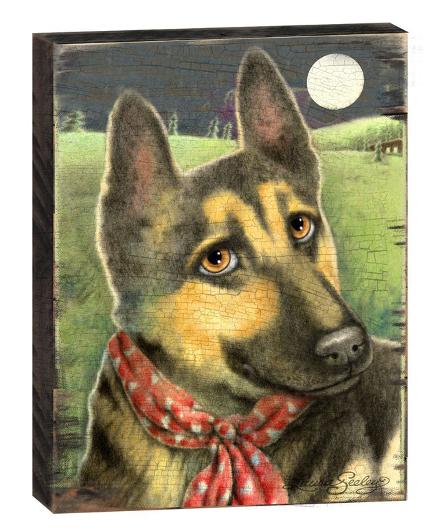 Spring Training Wooden Wall Art by Laura Seeley - Pets Dog and Cats Decor - 8511115B-0