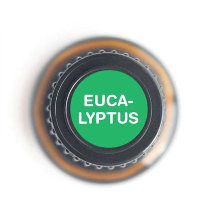 Eucalyptus Radiata  Pure Essential OIl-15ml-1