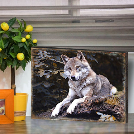 Wolf Art Wooden Wall Art by Nature Wonders - Nature Wildlife Decor  - 95287B-3