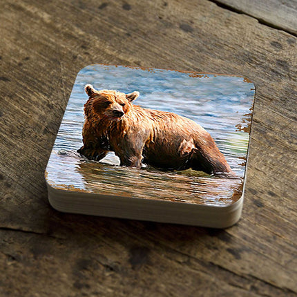 Bear Wooden Cork Coasters Gift Set of 4 by Nature Wonders - Nature Wildlife Decor  - 95297C-S4-1