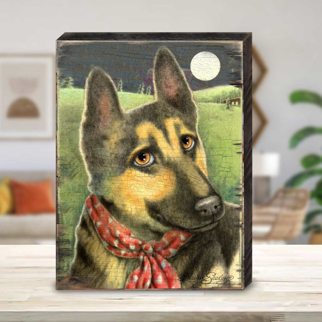 Spring Training Wooden Wall Art by Laura Seeley - Pets Dog and Cats Decor - 8511115B-0