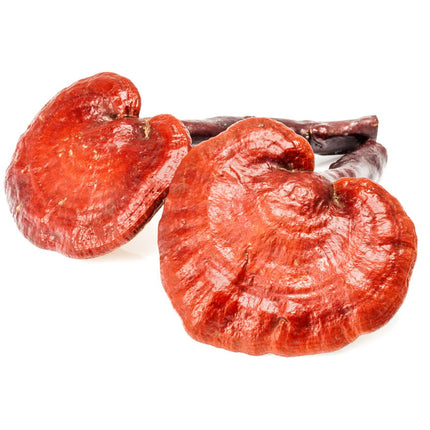 Reishi & Hawaiian Cinnamon Cacao Tea-3
