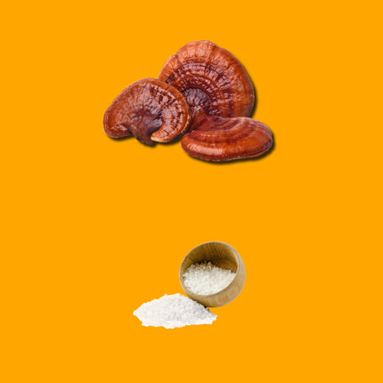 Hawaii Ceremonial Cacao (Rest & Relaxation)-5