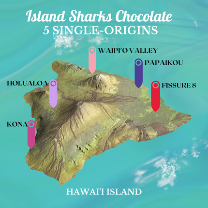100% Hawaiian Ceremonial Cacao-9