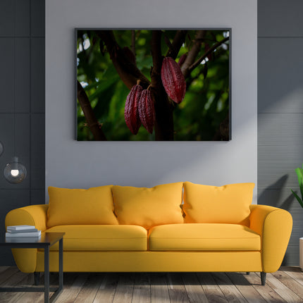 Hawaii Cacao Pods Aluminum Prints-2