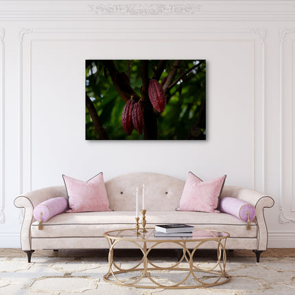 Hawaii Cacao Pods Aluminum Prints-1