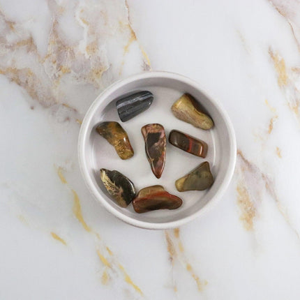 Fossil Wood Tumbled Stone-4