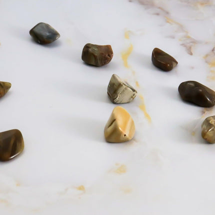 Fossil Wood Tumbled Stone-1
